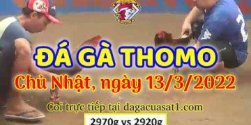 dagacuasat thang3-2022 (13)