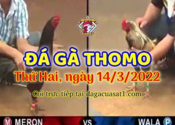 dagacuasat thang3-2022 (14)