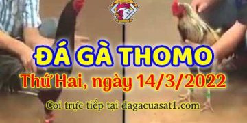 dagacuasat thang3-2022 (14)