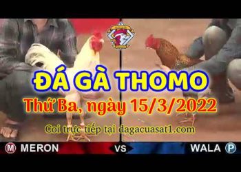 dagacuasat thang3-2022 (15)
