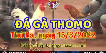 dagacuasat thang3-2022 (15)
