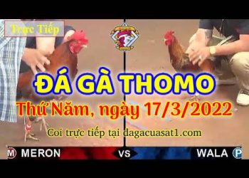 dagacuasat thang3-2022 (17)