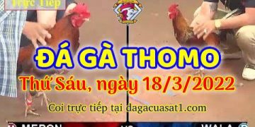 dagacuasat thang3-2022 (18)