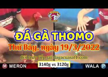 dagacuasat thang3-2022 (19)