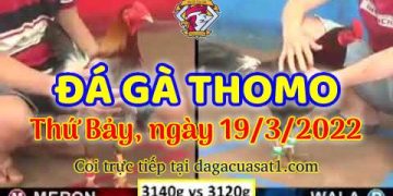 dagacuasat thang3-2022 (19)