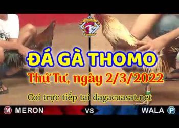 dagacuasat thang3-2022 (2)