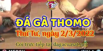 dagacuasat thang3-2022 (2)