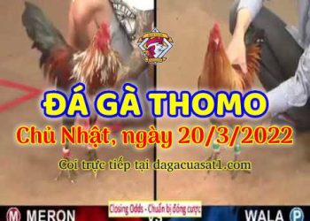 dagacuasat thang3-2022 (20)