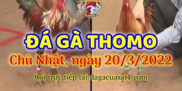 dagacuasat thang3-2022 (20)