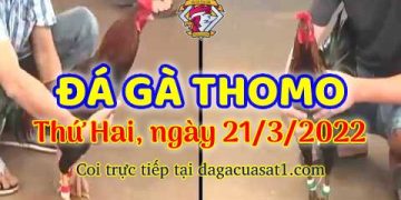 dagacuasat thang3-2022 (21)