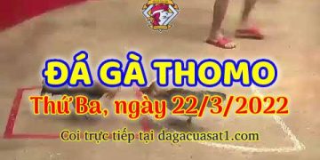 dagacuasat thang3-2022 (22)