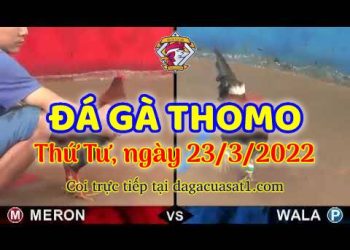 dagacuasat thang3-2022 (23)