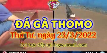 dagacuasat thang3-2022 (23)