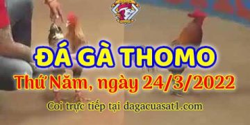 dagacuasat thang3-2022 (24)