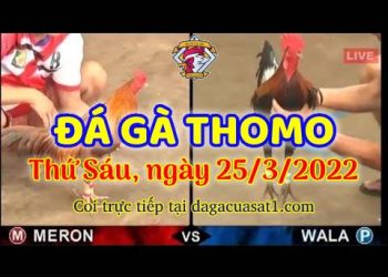 dagacuasat thang3-2022 (25)