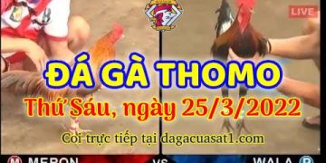 dagacuasat thang3-2022 (25)