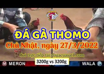 dagacuasat thang3-2022 (27)