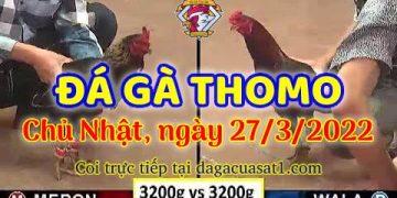 dagacuasat thang3-2022 (27)