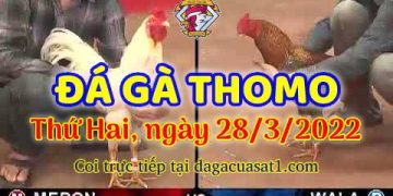 dagacuasat thang3-2022 (28)