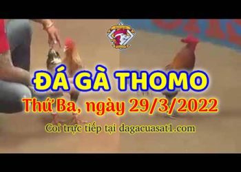 dagacuasat thang3-2022 (29)