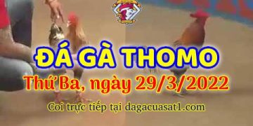 dagacuasat thang3-2022 (29)