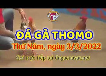 dagacuasat thang3-2022 (3)