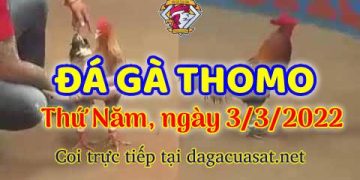 dagacuasat thang3-2022 (3)