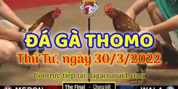 dagacuasat thang3-2022 (30)