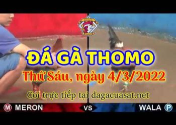 dagacuasat thang3-2022 (4)