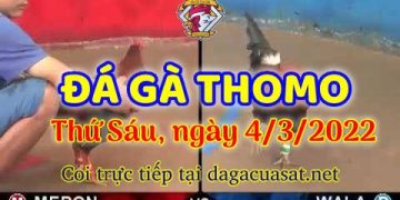 dagacuasat thang3-2022 (4)