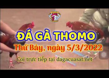 dagacuasat thang3-2022 (5)