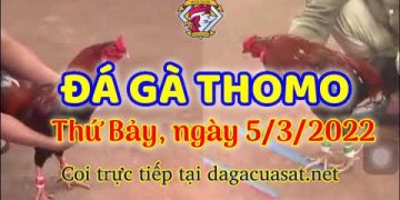 dagacuasat thang3-2022 (5)