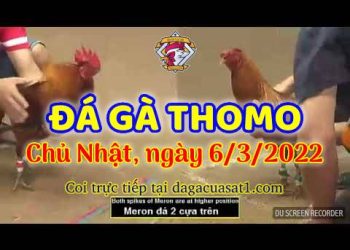 dagacuasat thang3-2022 (6)