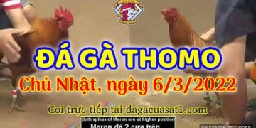 dagacuasat thang3-2022 (6)