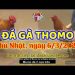 dagacuasat thang3-2022 (6)