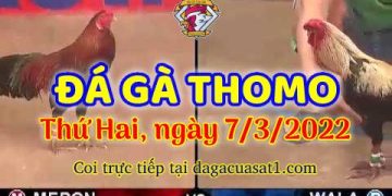 dagacuasat thang3-2022 (7)