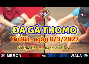 dagacuasat thang3-2022 (8)