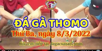 dagacuasat thang3-2022 (8)