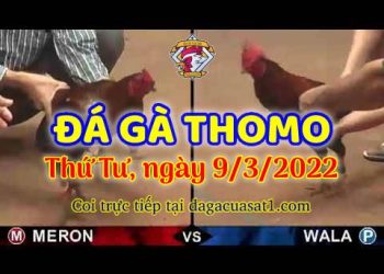 dagacuasat thang3-2022 (9)