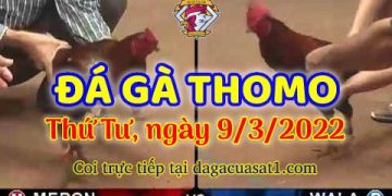 dagacuasat thang3-2022 (9)