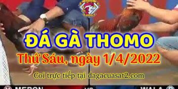 dagacuasat thang4-2022 (1)