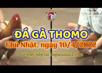 dagacuasat thang4-2022 (10)