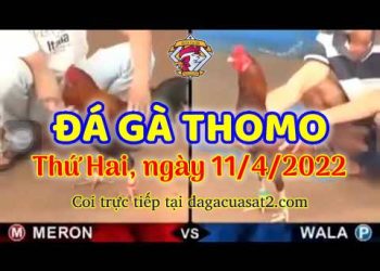 dagacuasat thang4-2022 (11)