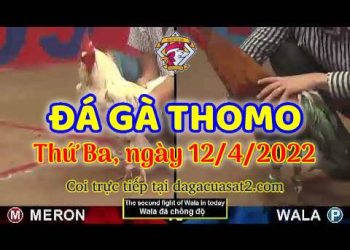dagacuasat thang4-2022 (12)