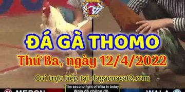 dagacuasat thang4-2022 (12)