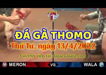 dagacuasat thang4-2022 (13)