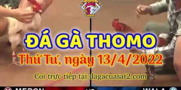 dagacuasat thang4-2022 (13)