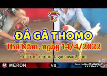 dagacuasat thang4-2022 (14)