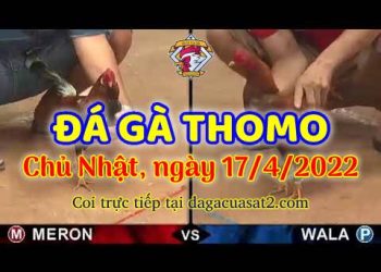 dagacuasat thang4-2022 (17)