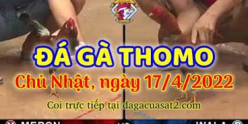 dagacuasat thang4-2022 (17)